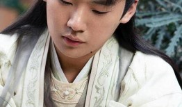 爆料君娱乐圈杨颖是谁啊,娱乐圈杨颖是谁？