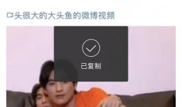 他泰cp圈内爆料免费阅读,免费阅读背后的秘密大曝光